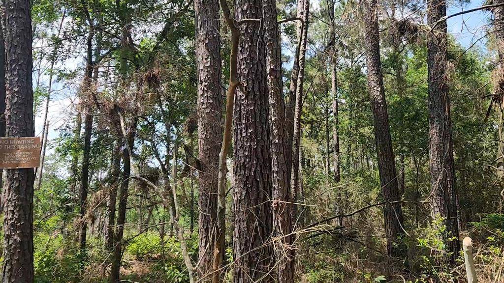 Plantersville, TX 77363,Lot 33 Gum Tree LN