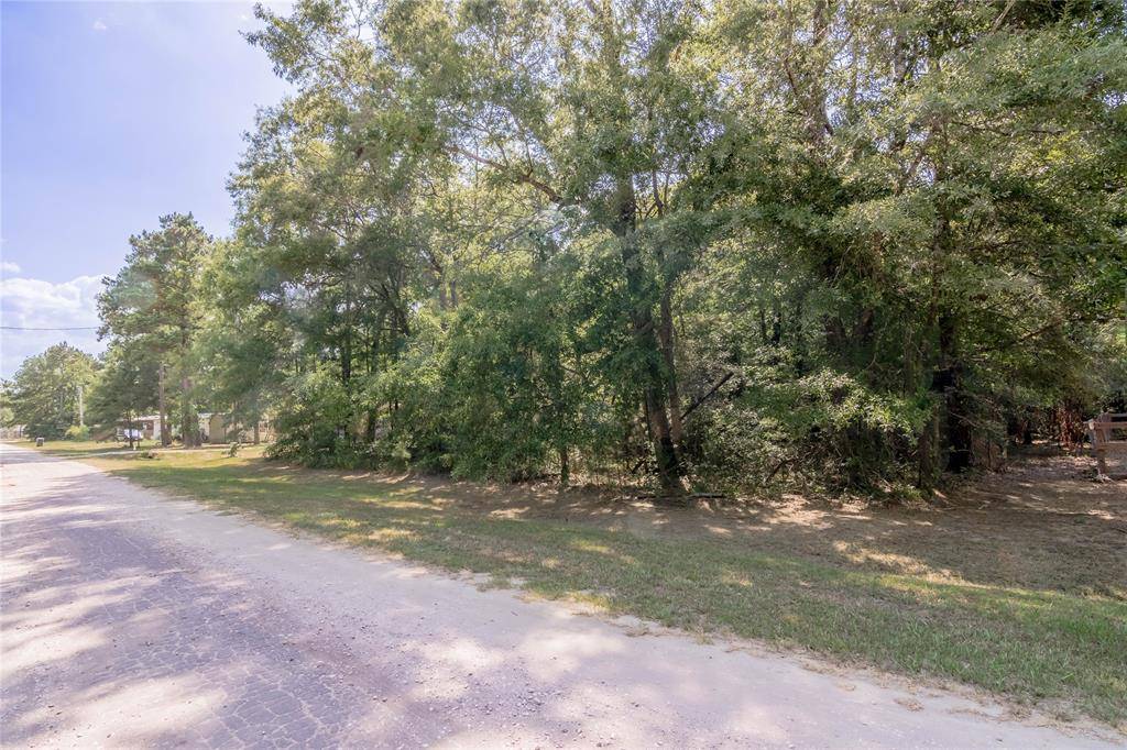 Livingston, TX 77351,Lot 175 Wellington