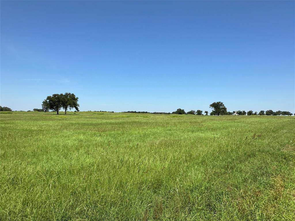 Fairfield, TX 75840,TBD Tract 3 FM 2547