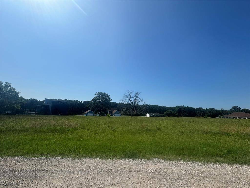 Trinity, TX 75862,21 Meadow Lake DR