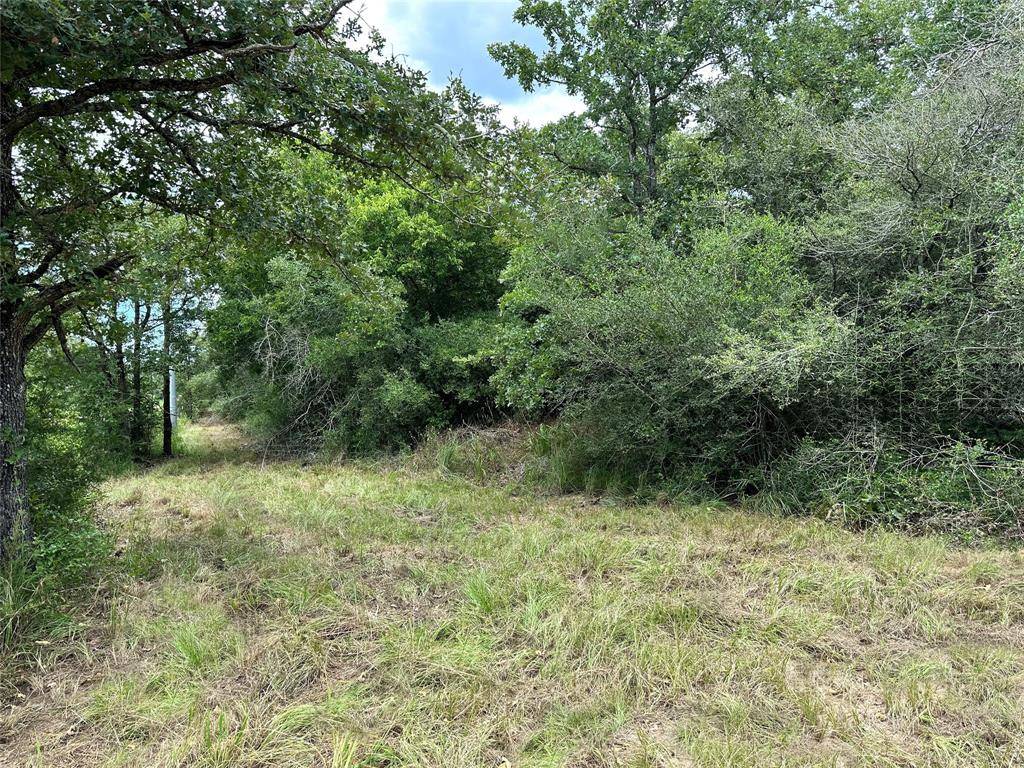 Cistern, TX 78959,00 Buck Run DR