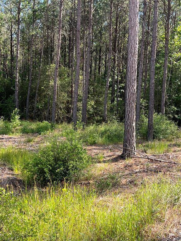 Huntsville, TX 77340,5.158 Acres Queen Anne WAY