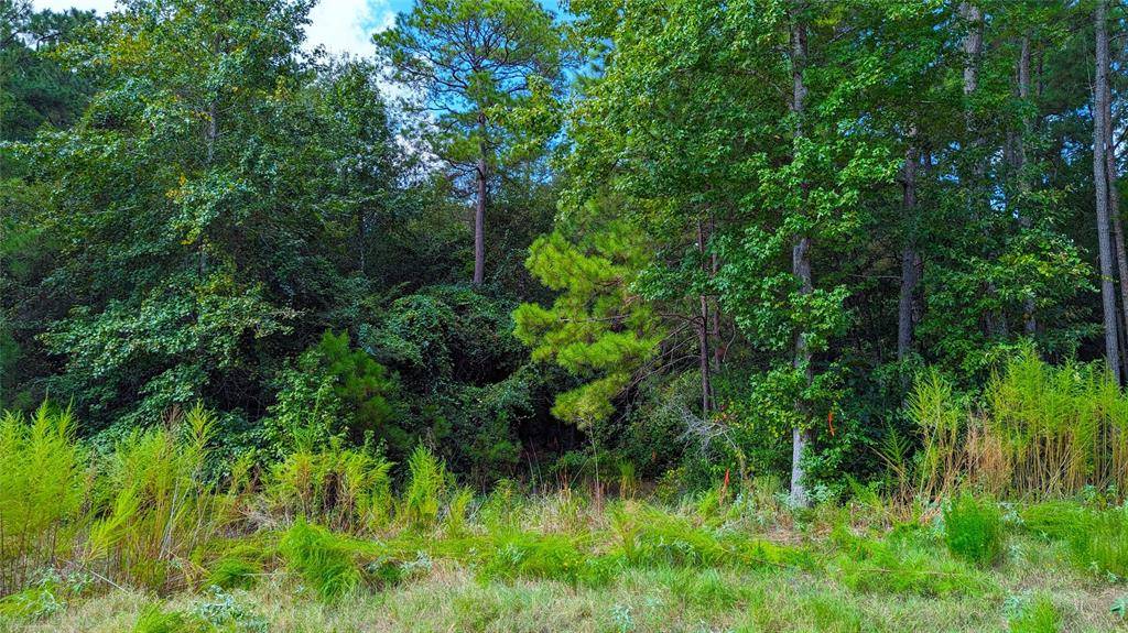 Huntsville, TX 77340,69 Tranquil LN