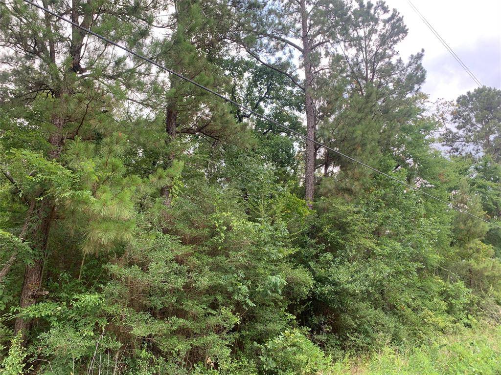 Plantersville, TX 77363,000 Pinebrook DR