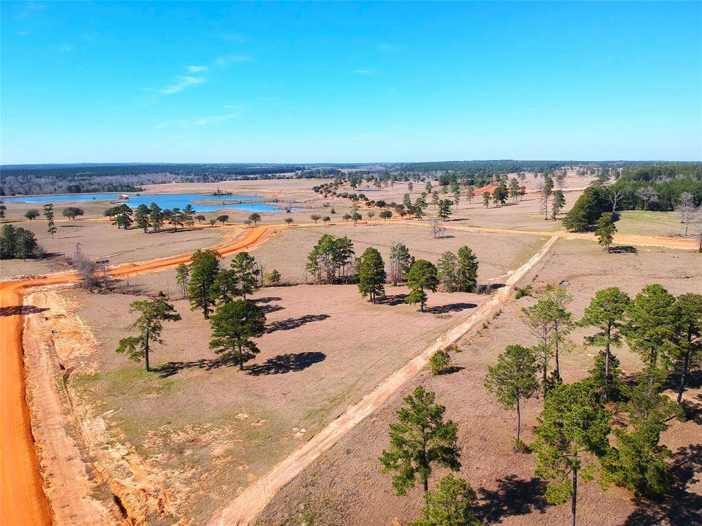 Hillister, TX 77624,TBD Lakeland Loop Lot 85