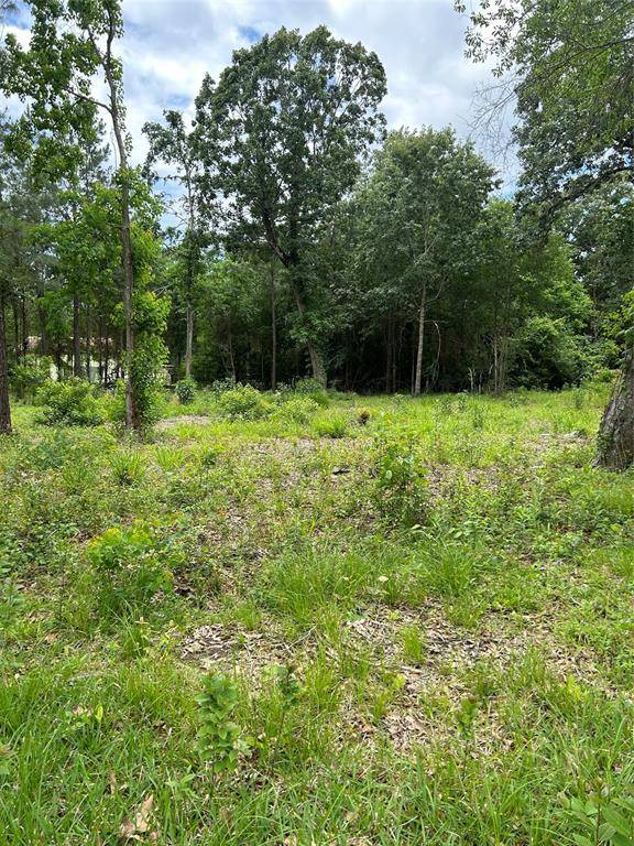 Livingston, TX 77351,12 Timberglen