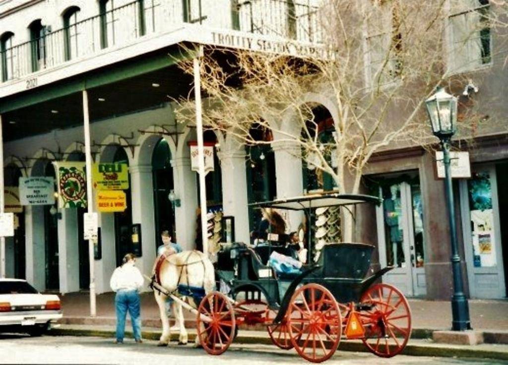 Galveston, TX 77550,2527 Post Office ST