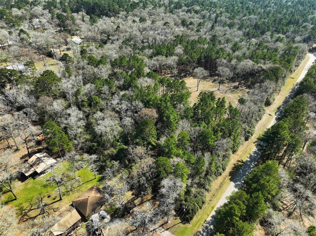 Montgomery, TX 77316,L 72 King Richards CT