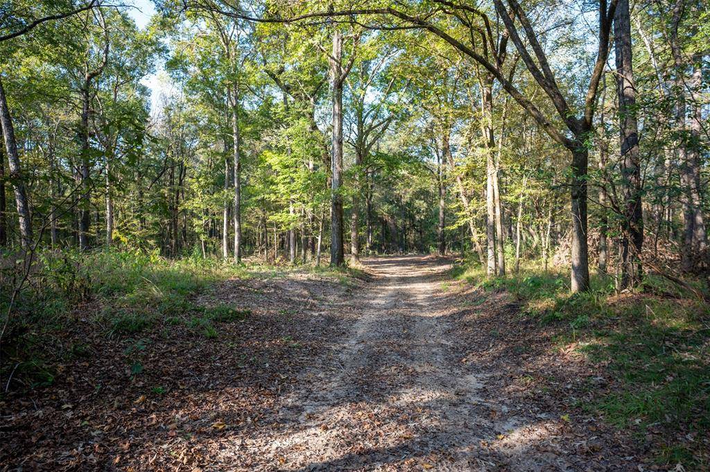 Chester, TX 75936,Off County Road 2670