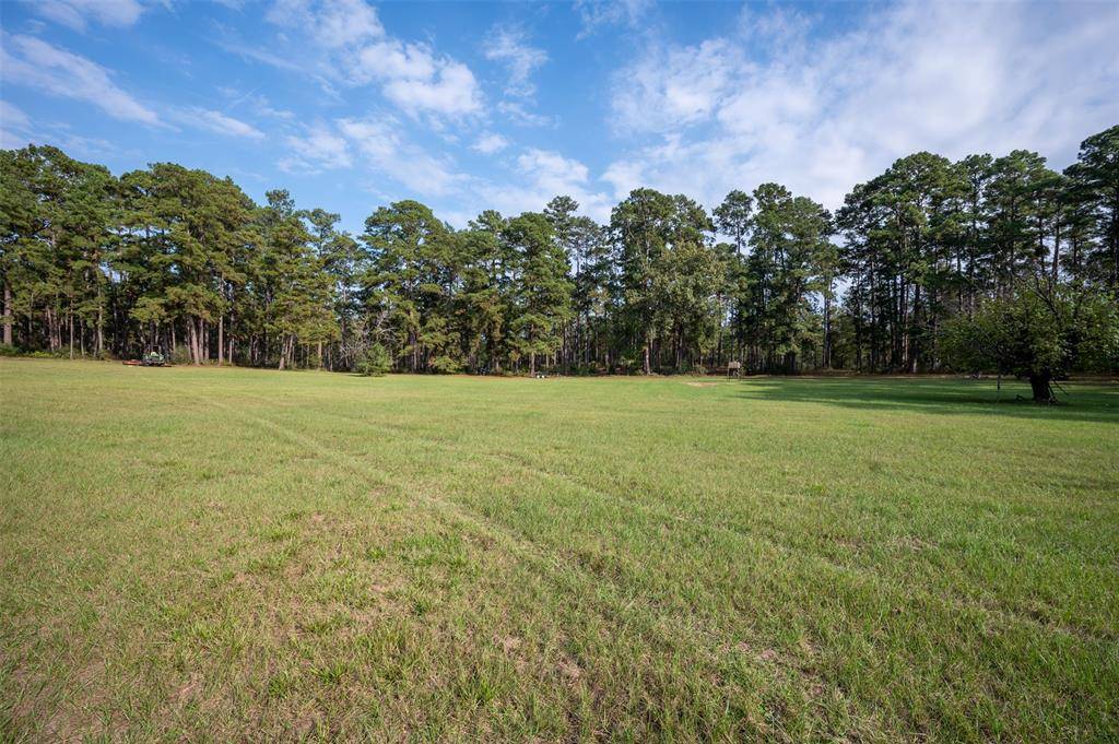 Chester, TX 75936,Off County Road 2670