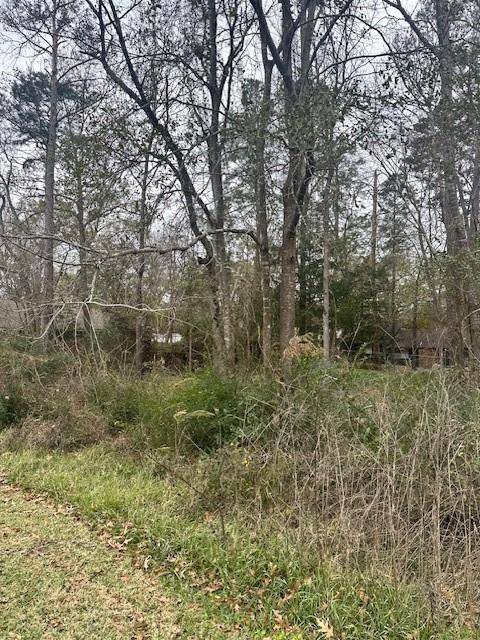 Livingston, TX 77351,Lot 21 Brinwood PL