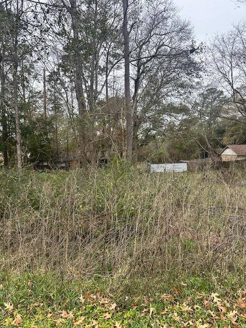 Livingston, TX 77351,Lot 21 Brinwood PL