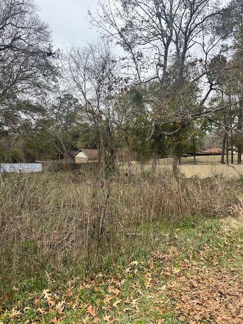 Livingston, TX 77351,Lot 21 Brinwood PL