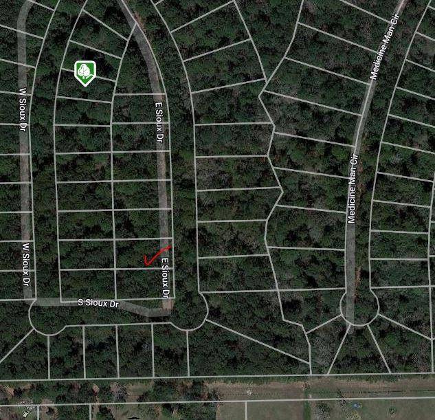 Hempstead, TX 77445,TBD East Sioux Dr