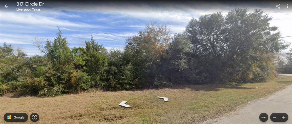 Liverpool, TX 77577,TBD Circle DR