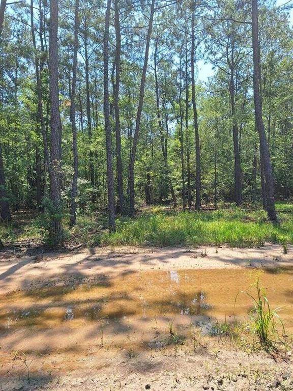 Buna, TX 77612,6801 Private Road 8235