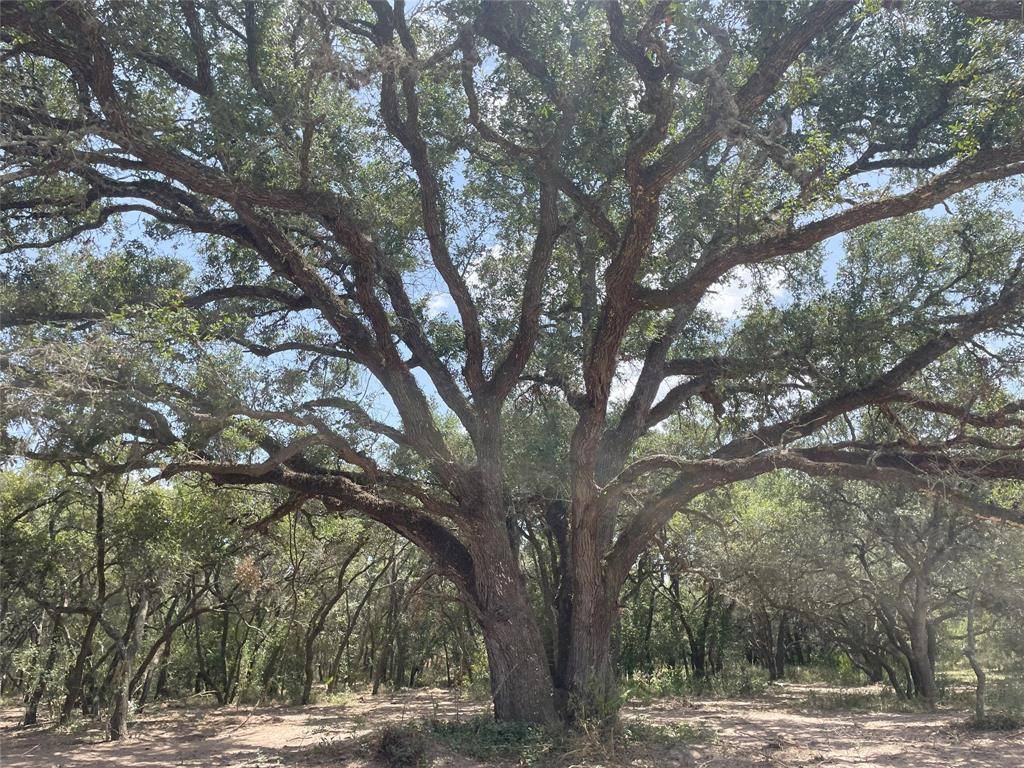 Columbus, TX 78934,Lot 29 Shorebird