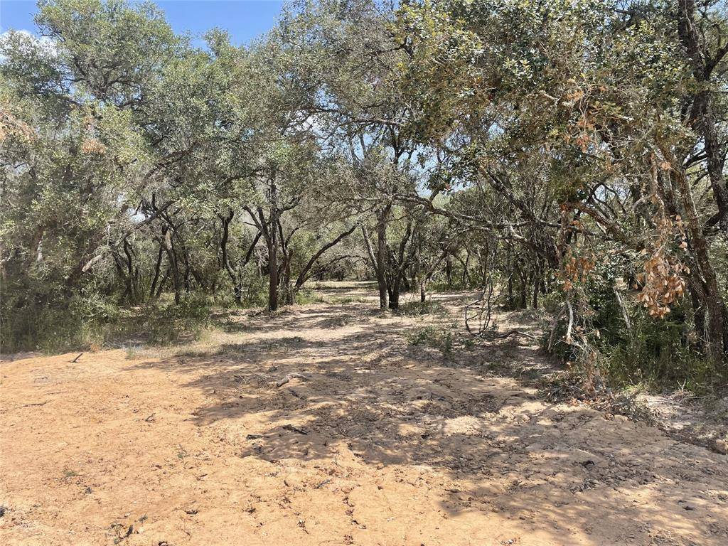 Columbus, TX 78934,Lot 29 Shorebird