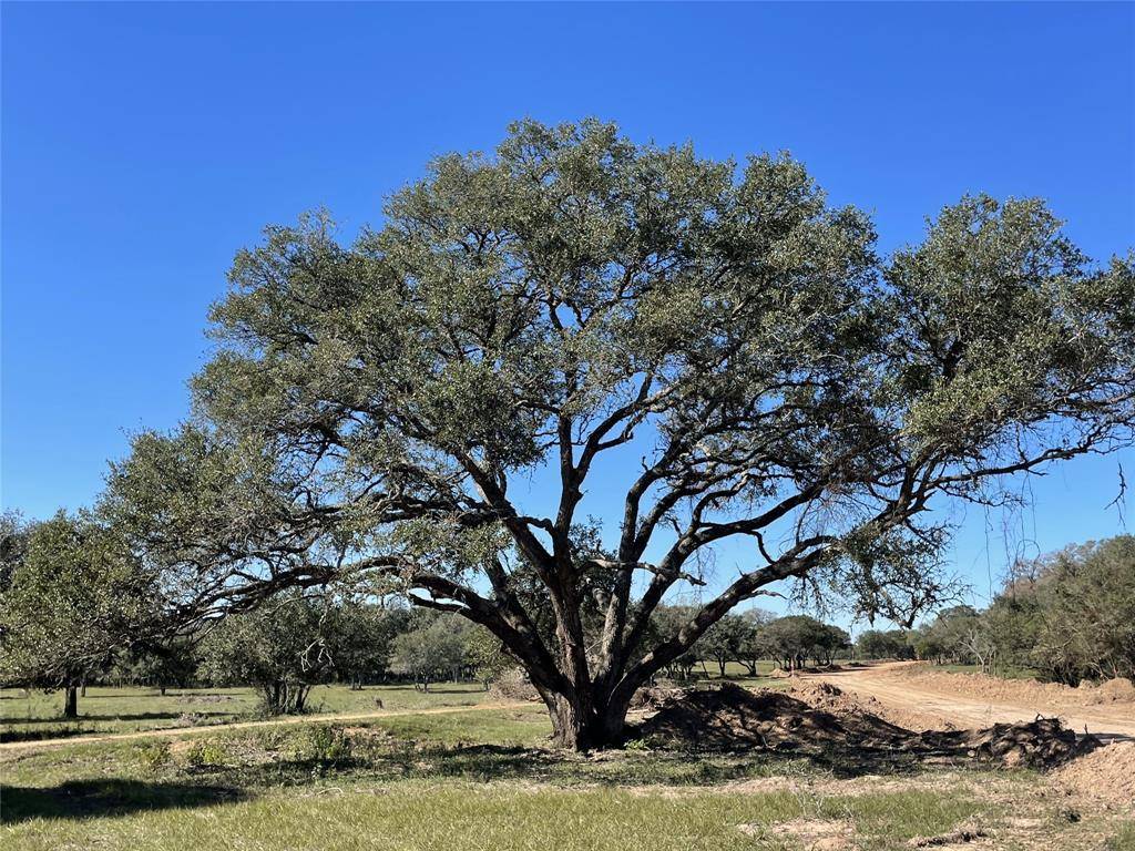 Columbus, TX 78934,Lot 29 Shorebird