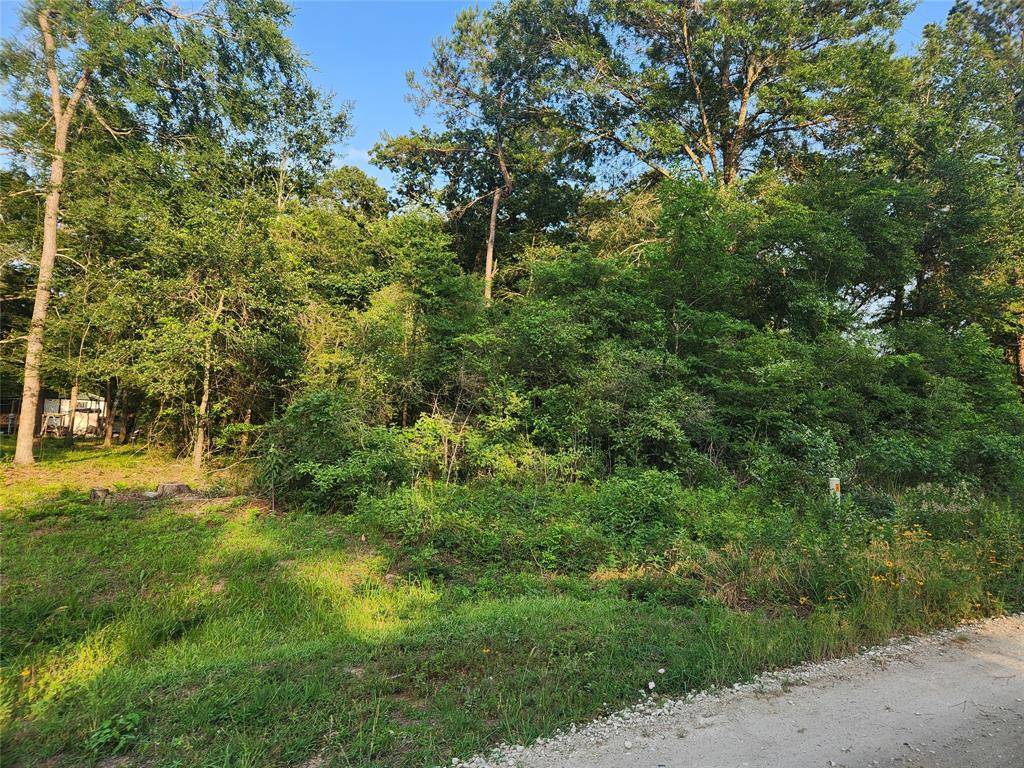 Plantersville, TX 77363,Lot 16 Weeping Willow LN