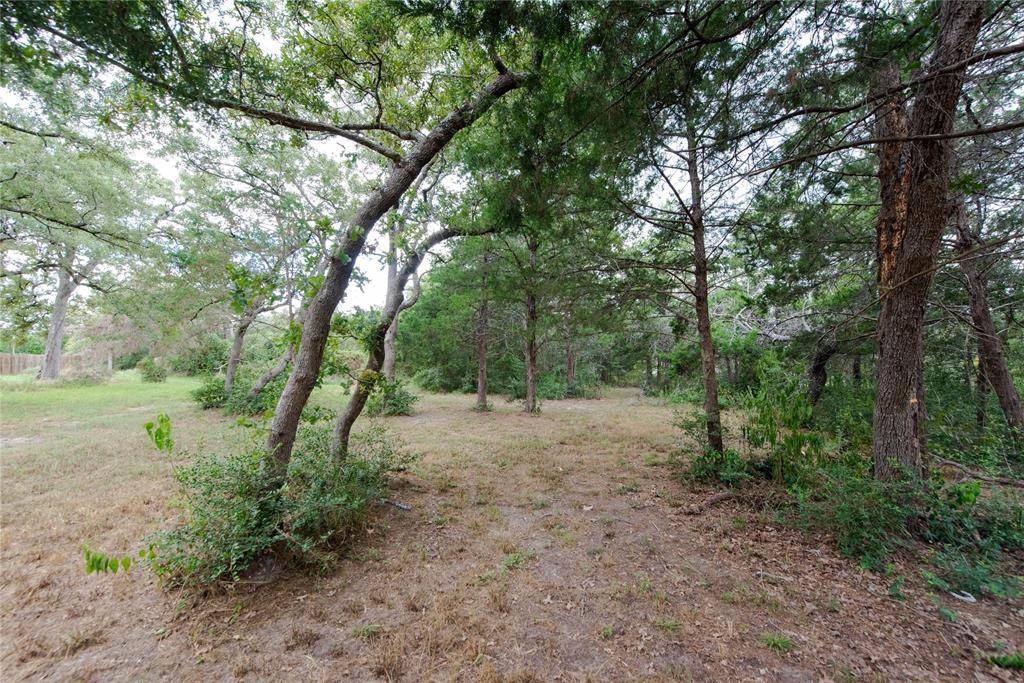 Somerville, TX 77879,TBD Grape Cir -1 Acres