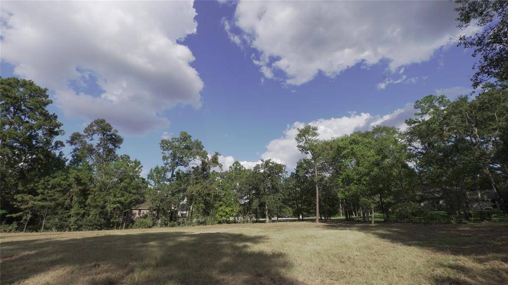 Magnolia, TX 77355,28103 Meadow FRST