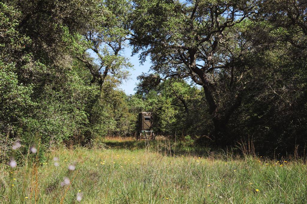 Hallettsville, TX 77964,0000 County Road 14D/14E