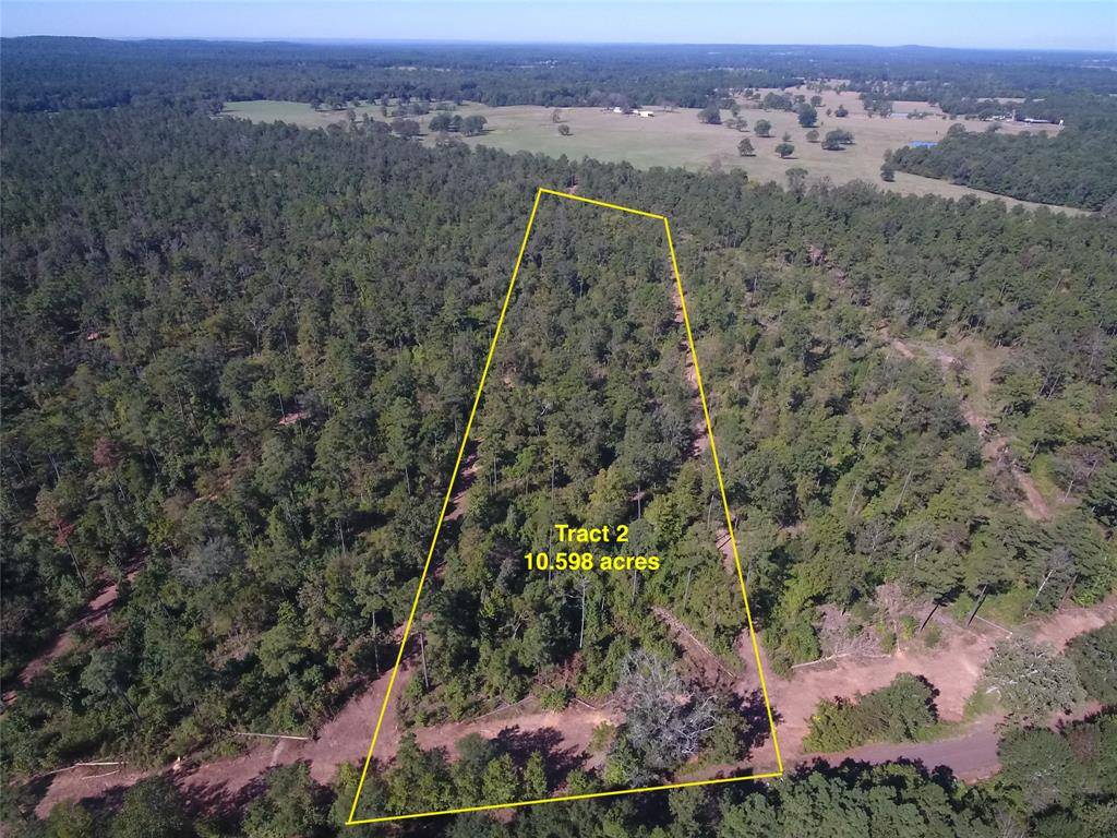 Laneville, TX 75667,10.598 CR 3163