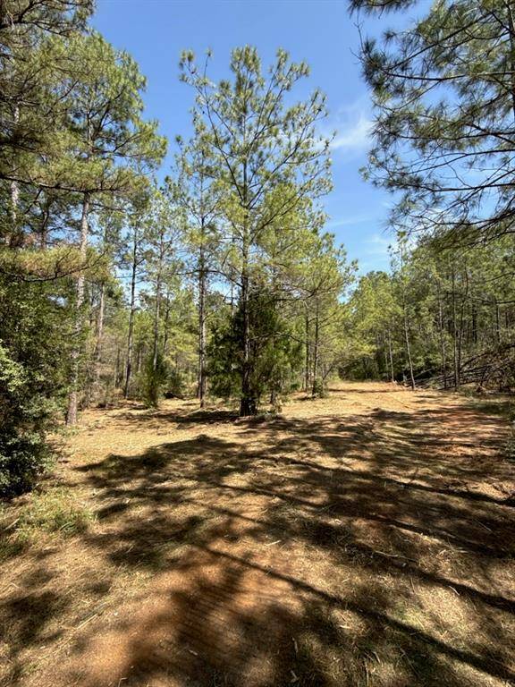Plantersville, TX 77363,9724 Renfaire DR