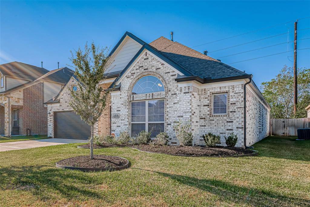 Rosenberg, TX 77471,5006 Lacebark Pine TRL