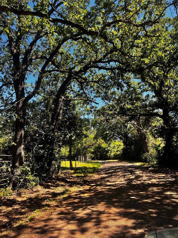 Schulenburg, TX 78956,4605 Krischke