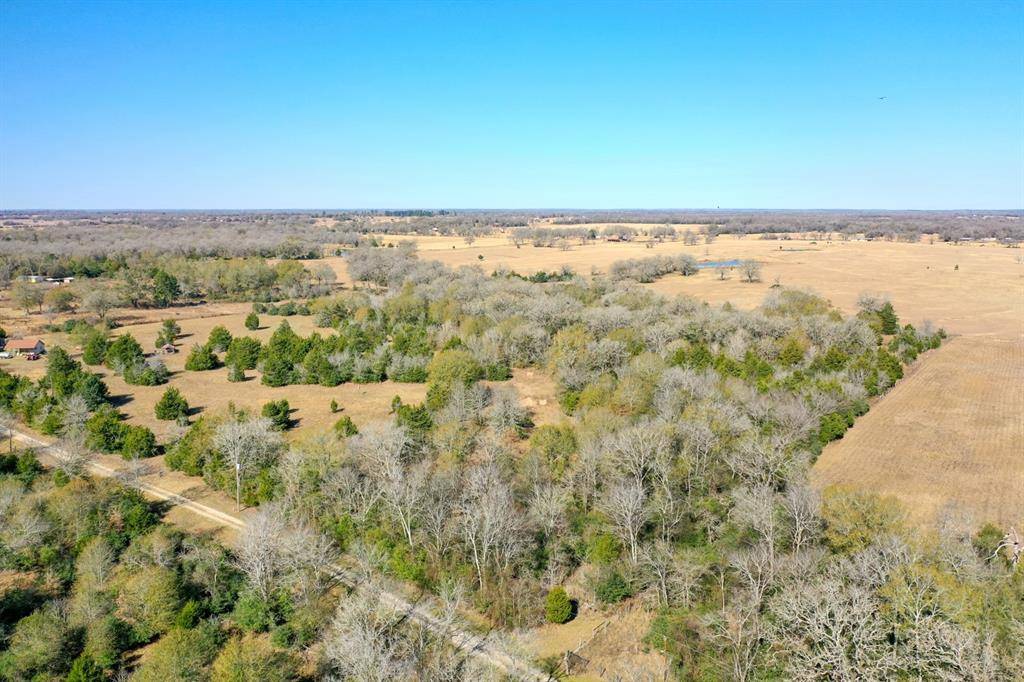 Madisonville, TX 77864,5AC Manning LN