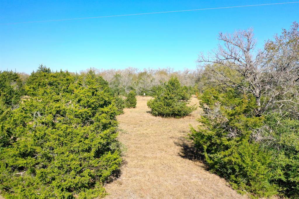 Madisonville, TX 77864,5AC Manning LN