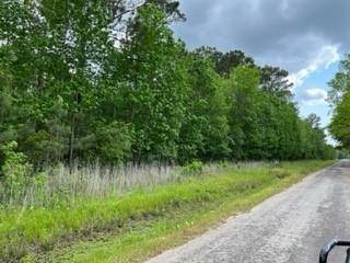 Liberty, TX 77575,Lot 9,10 County Road 2112 Whaley Cove CV