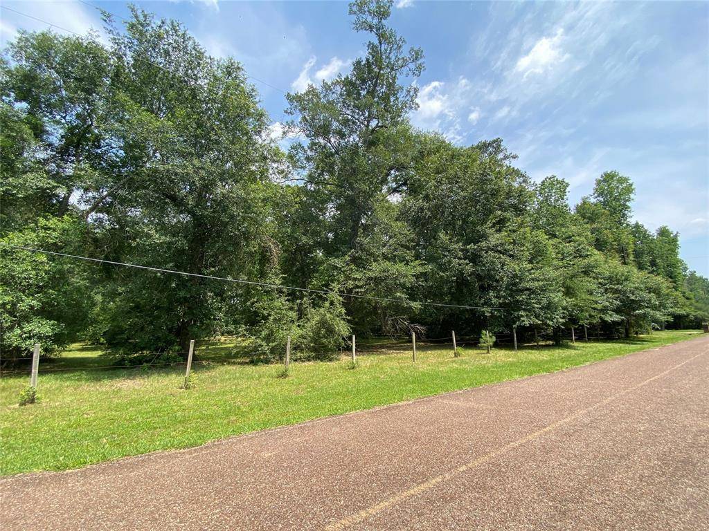 Magnolia, TX 77354,8614 Shadow LN