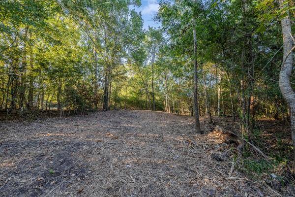 Round Top, TX 78954,TBD Wendy Lane - Lot 16