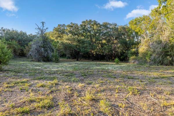 Round Top, TX 78954,TBD Wendy Lane - Lot 16