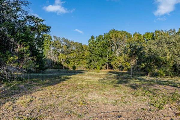 Round Top, TX 78954,TBD Wendy Lane - Lot 16