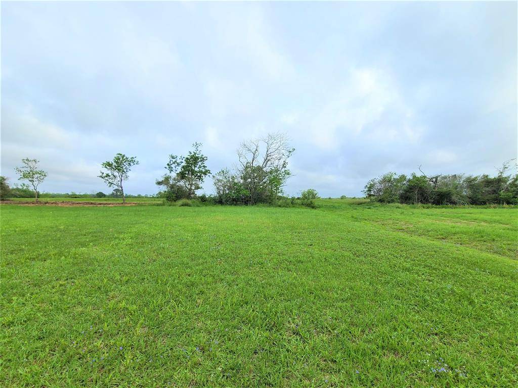 Angleton, TX 77515,725 Buffalo Trail