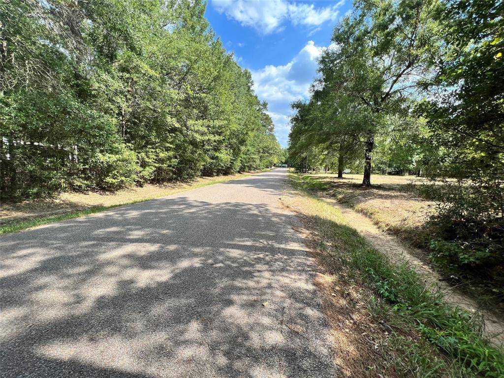 Magnolia, TX 77354,Lot 195 Octavia Dr