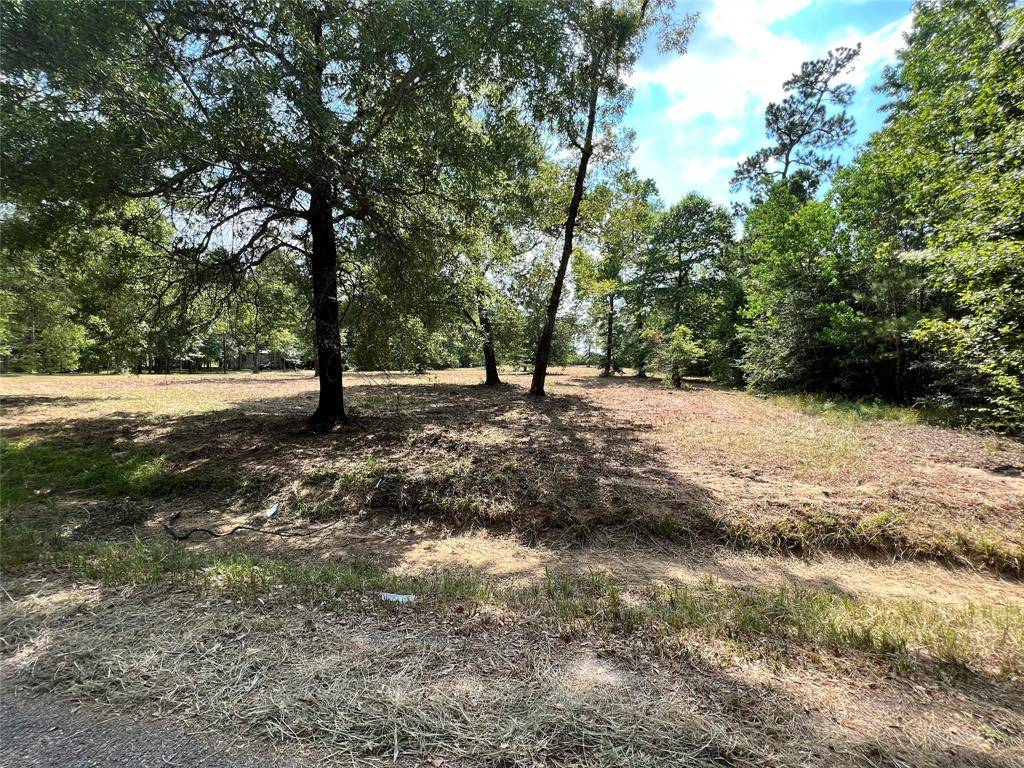 Magnolia, TX 77354,Lot 195 Octavia Dr