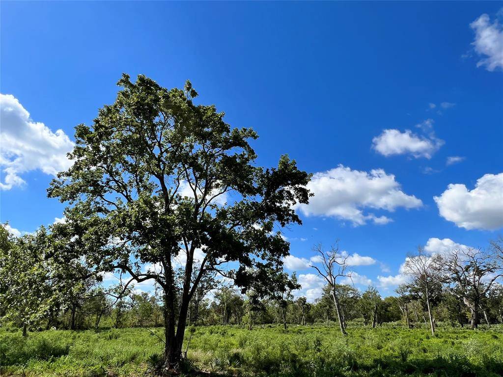 Brazoria, TX 77422,Lot 3 County Road 506