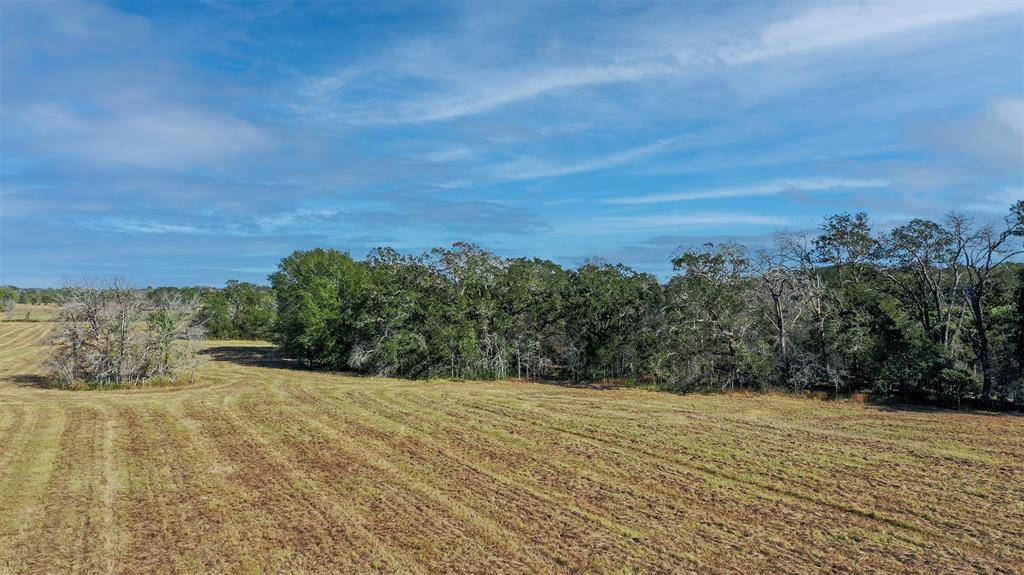Bedias, TX 77831,Lot 6 County Rd 229