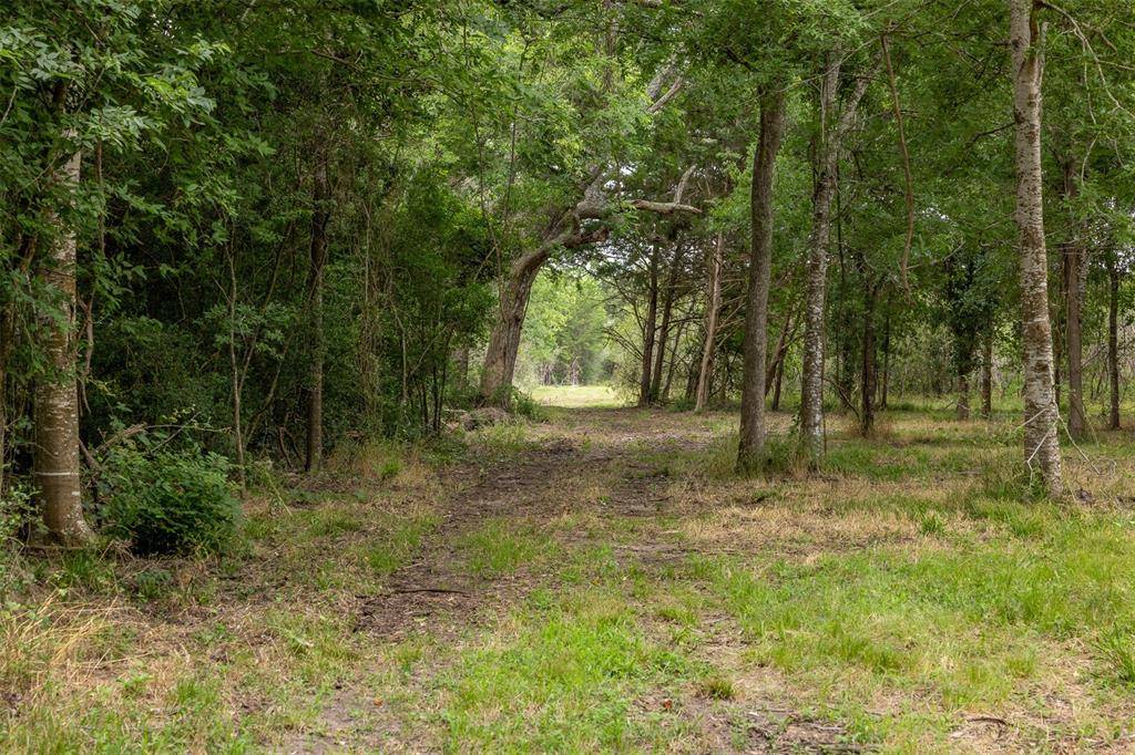 Bellville, TX 77418,745 Ives Creek RD