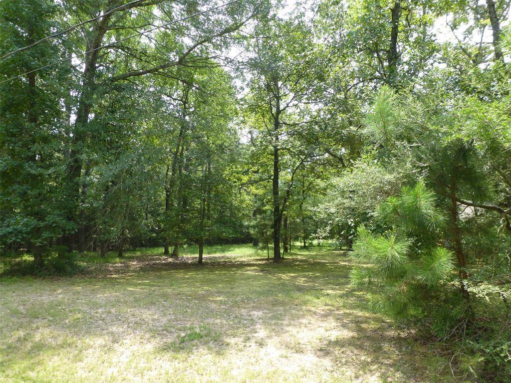 Magnolia, TX 77354,10103 Seneca Trail