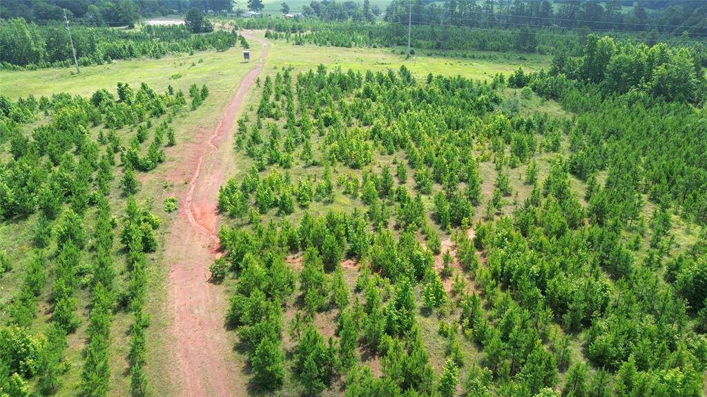 Crockett, TX 75835,TBD County Road 1830
