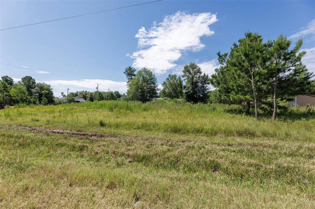 Cleveland, TX 77327,1202 County Road 3542