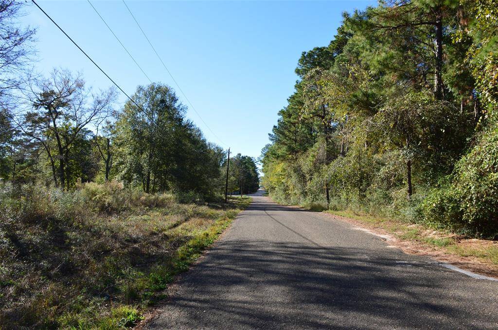 Plantersville, TX 77363,Tract #2 County Road 302