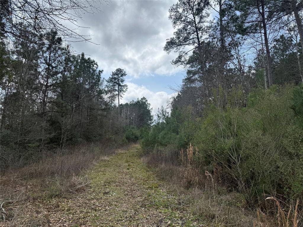 Huntsville, TX 77340,178 Stagecoach CIR