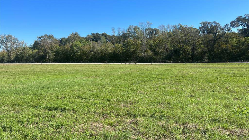 Navasota, TX 77868,Lot 3 CR 319